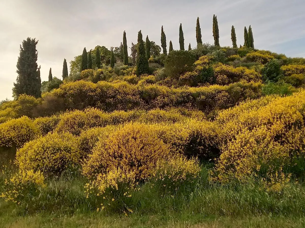 -Casina Vitty- Apartment Montepulciano
